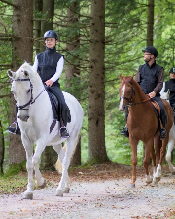 Horse Back riding